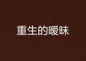 彼得比尔特379拼图